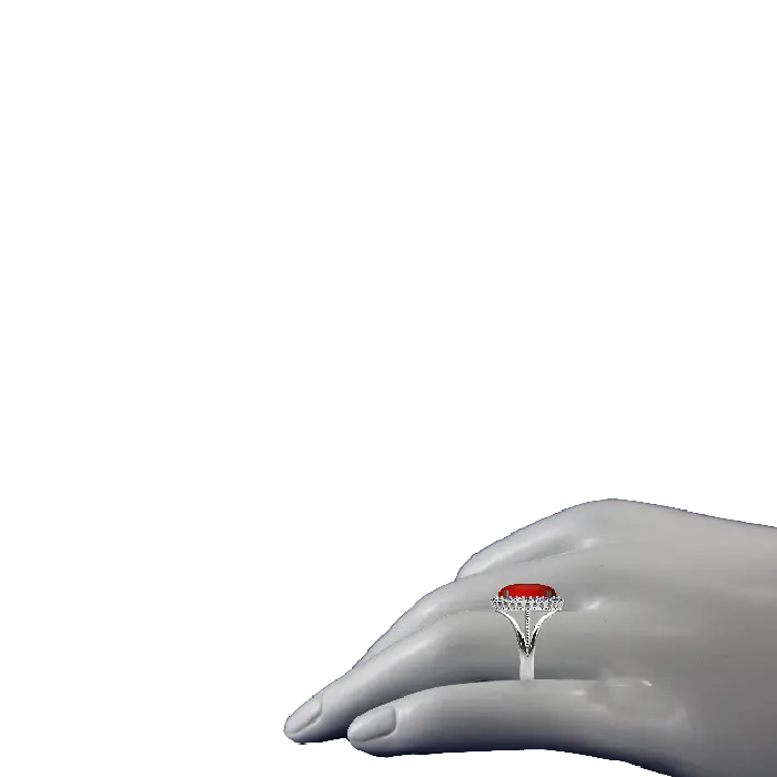 233(1)